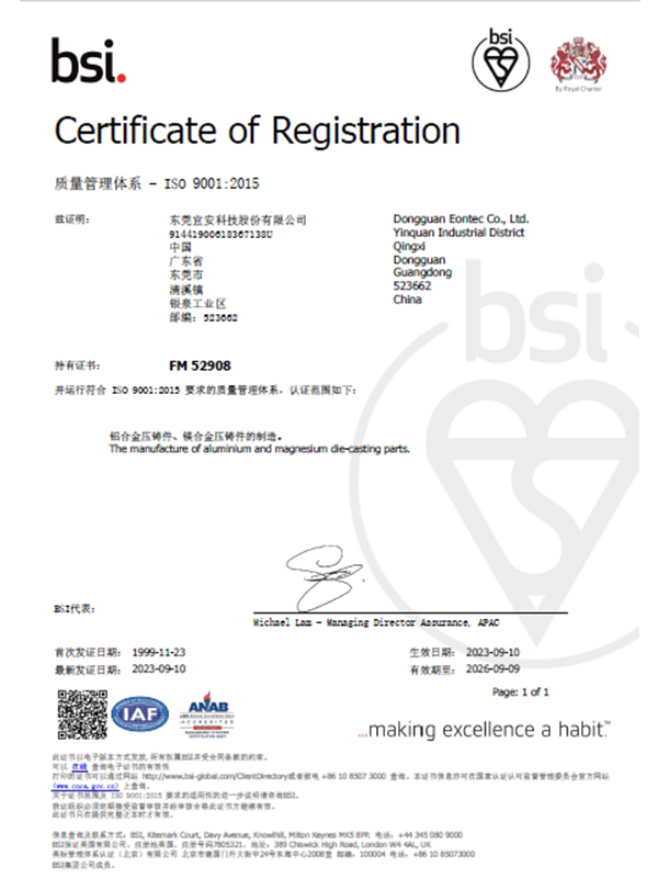 OG真人官方科技-ISO 9001：2015