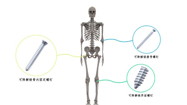 喜讯：OG真人官方科技荣获2024中华医学科技奖